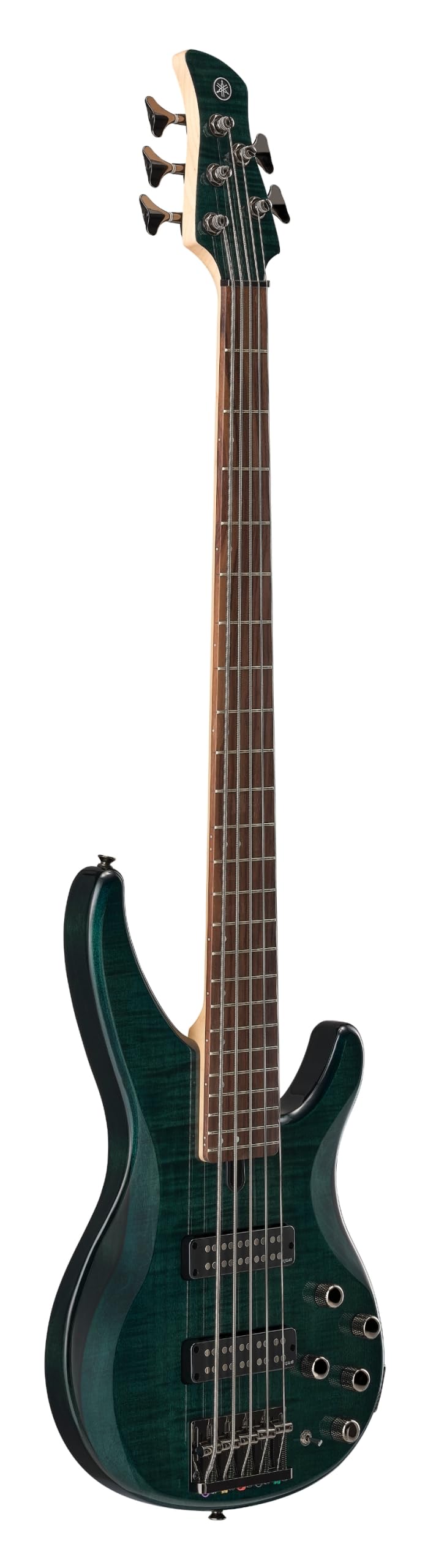 Amazon.com: Yamaha TRBX605 5-String Flamed Maple Bass Guitar
